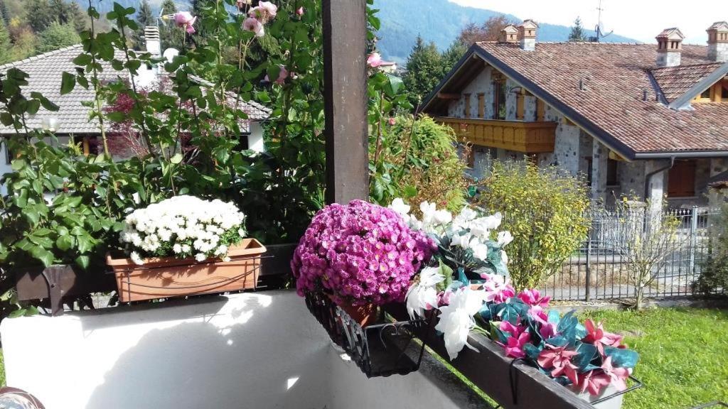 Villa Chanel Борно Екстериор снимка