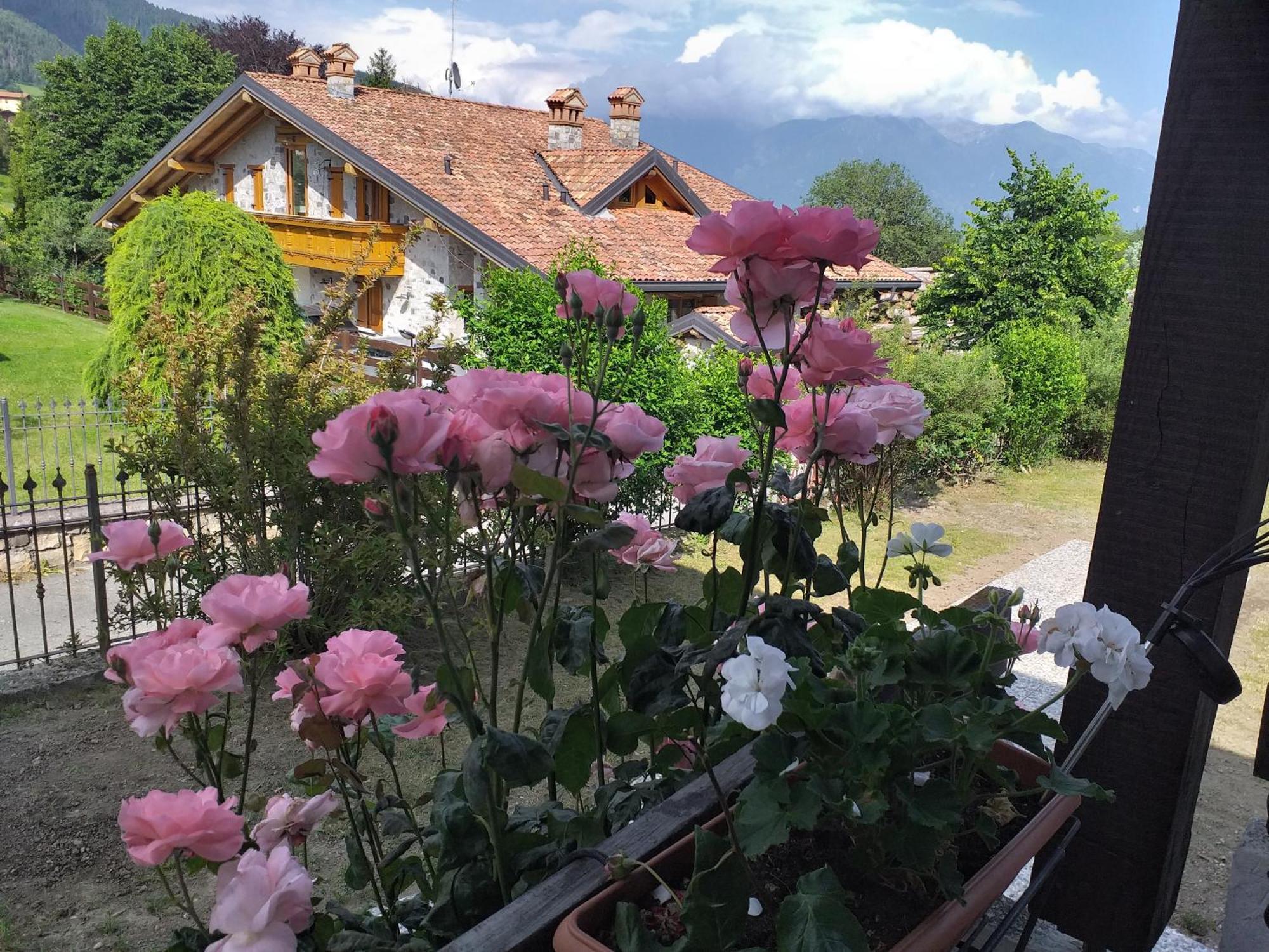 Villa Chanel Борно Екстериор снимка